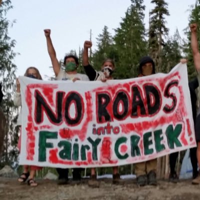Updates and advocacy from Fairy Creek Blockade Alum