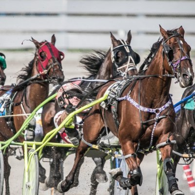 The Fan Page for Woodbine Mohawk Park.