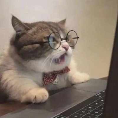 EileenYuu欠钱买鱼 Profile