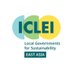 ICLEI East Asia (@ICLEIEAS) Twitter profile photo