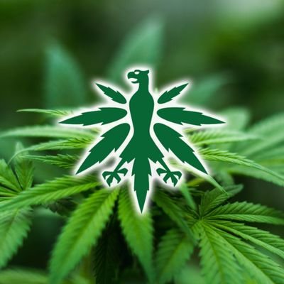 legalize_it_'s profile picture. Cannabis Legalisierung 2021
069