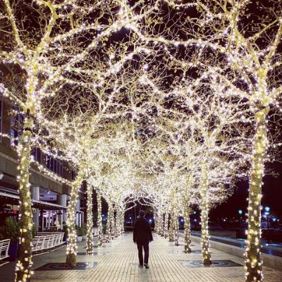 Kiba928's profile picture. 