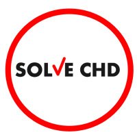 ❤️SOLVECHD❤️(@SOLVECHD) 's Twitter Profileg