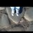 Thaissa_Nuyens's profile image