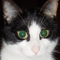 Dianne Hackborn ๐ (@hackbod) 's Twitter Profile Photo Dianne Hackborn ๐ (@hackbod) 's Twitter Profile Photo