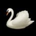 lightupswan (@lightupswan) Twitter profile photo lightupswan (@lightupswan) Twitter profile photo