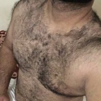 موجب مشعر فحل المدينه (@moataz14256275) Twitter profile photo