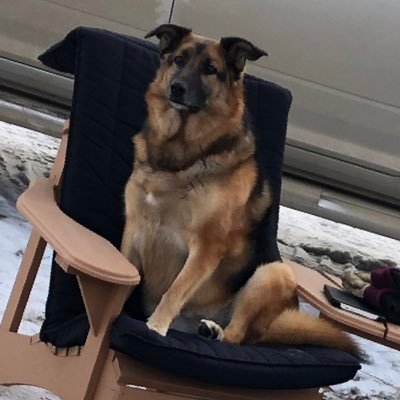 Carolyn19954674's profile picture. FINE - Feeling In Need of Encouragement, JOY - Jesus first. Others second. Yourself last, PRAY - Praise, Repent, Ask, Yield,  FAITH before FEAR!