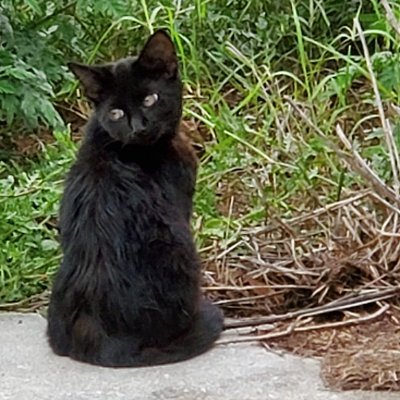 Alex17696044's profile picture. Just here for shits & giggles