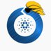 Thiago | SPO at OUROS | Cardano Ambassador (@tsnnst) Twitter profile photo Thiago | SPO at OUROS | Cardano Ambassador (@tsnnst) Twitter profile photo