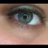 Linaeve's profile image