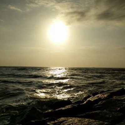 ChrisLo33208422's profile picture. Birthplace 🇹🇼, 🇺🇸 home❤️. 炎黃後代, proud & grateful to be 中華名國子民 & American. Christ follower. “May His Kingdom come. May His Will be done.” 🙏