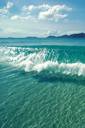 marcosgnaolin's profile picture. 