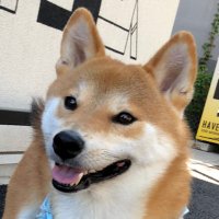 みか(@BAKrMiHKGJ3IWog) 's Twitter Profile Photo