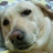 soiar_1124's profile image