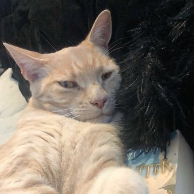 mxniquedxwn's profile picture. 