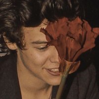 harrym3lonsugar(@harrym3lonsugar) 's Twitter Profile Photo