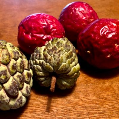 sidetable1's profile picture. 色々と思うところあってTwitterを始めました。自然農と家族の食卓と米や野菜、豆など種を愛する者です。