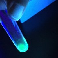 専門学校 東京テクニカルカレッジ バイオテクノロジー科 (@ttcbio) 's Twitter Profile