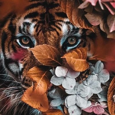 Trevor53444838's profile picture. 