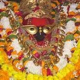 CommissionerMi3's profile picture. Commissioner