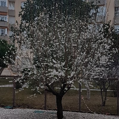 MjHuelva's profile picture. Economista, Experto en Energía, Profesor UPO