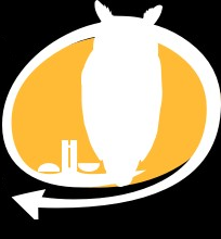 sessaocoruja's profile picture. 