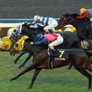 競馬予想【穴馬】 (@keibayoso777ana) 's Twitter Profile Photo 競馬予想【穴馬】 (@keibayoso777ana) 's Twitter Profile Photo