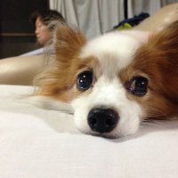 田中さん (@30hae76fk3arpgz) 's Twitter Profile