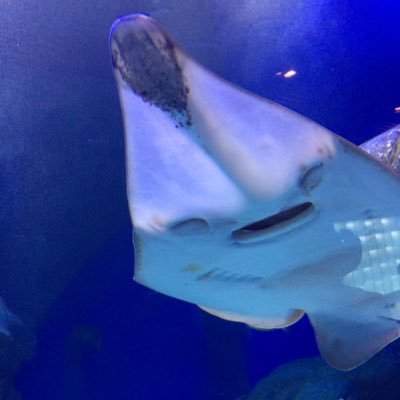 iK_0427's profile picture. 