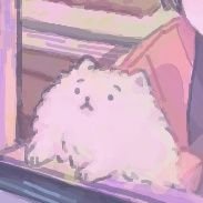もんきちさんのプロフィール画像