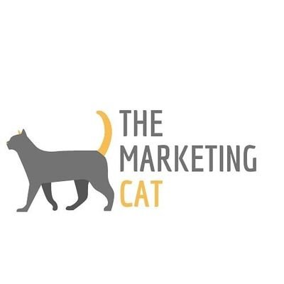 The Purr-fect Cat for All Marketing Related Queries