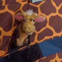 CLE Essex & East Herts (@cleeast) 's Twitter Profile