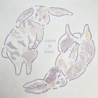 cumu & kuro (@usaginocumu) Twitter profile photo