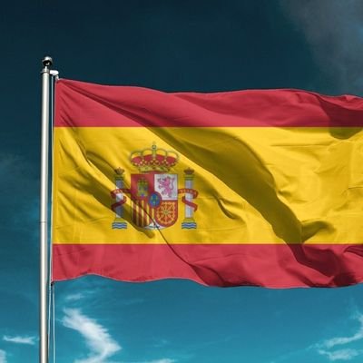 Arriba ESPAÑA 🇪🇦, por un país limpio de vagos