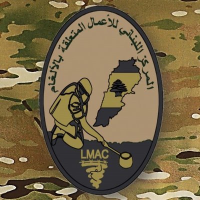 Lebanon Mine Action Center Profile