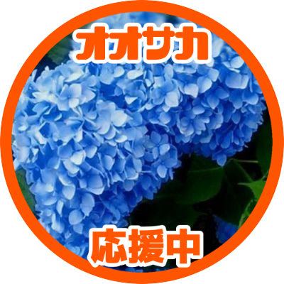 朱さんのプロフィール画像