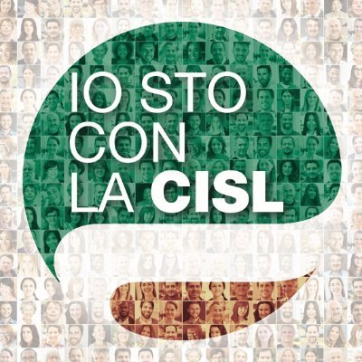 cislbasilicata Profile Picture