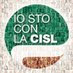 Cisl Basilicata (@cislbasilicata) Twitter profile photo