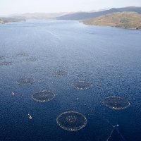 Sustainable Aquaculture in Scotland (@scottishaqua) 's Twitter Profile