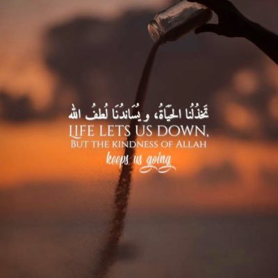 pest_201's profile picture. 𝑝𝑢𝑡 𝑎𝑙𝑙𝑎ℎ 𝑓𝑖𝑟𝑠𝑡 𝑎𝑛𝑑 𝑦𝑜𝑢 𝑤𝑖𝑙𝑙 𝑛𝑒𝑣𝑒𝑟 𝑏𝑒 𝑙𝑎𝑠𝑡.,،