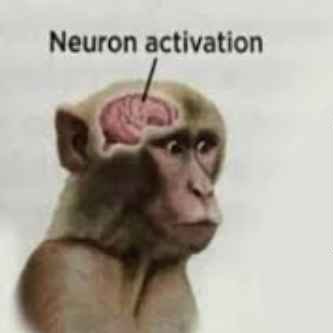 falseidentity_4's profile picture. Certified Major Cunt