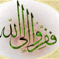 داود حسن الأهدل (@dhalahdal) 's Twitter Profile