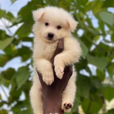 slut_herout's profile picture. just here for the conversations