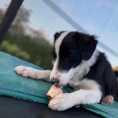 GITIT15988789's profile picture. Hallo