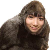 ごりまる (@gorimaru_poke) Twitter profile photo