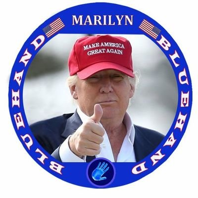 ❌🇺🇸Marilyn Lavala🇺🇸✊❌ #CCOT☦🙏✝️🛐✡️☮️💜さんのプロフィール画像