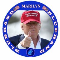 ❌🇺🇸Marilyn Lavala🇺🇸✊❌ #CCOT☦🙏✝️🛐✡☮️💜⚘(@MarilynLavala) 's Twitter Profile Photo