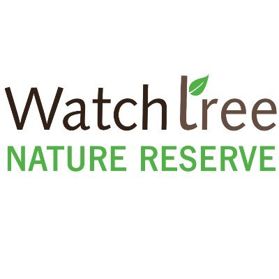 Award winning Wildlife Haven in the North of Cumbria, with the awesome @watchtreewheels