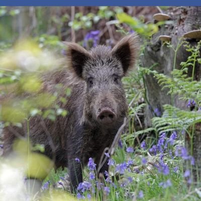 AbrakamAsso's profile picture. .